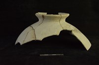 陶罐藏品圖，第1張